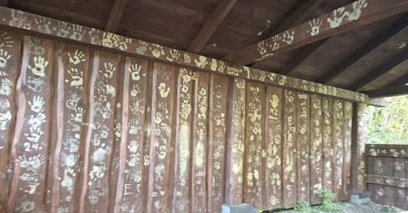 "Ekografitti" w Bieszczadach. Leśnicy z Cisnej zaskoczeni niecodzienną ozdobą wiaty