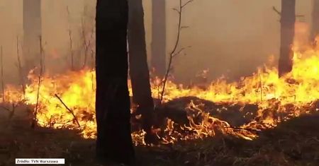 Pięć zastępów straży pożarnej i samolot gaśniczy brały udział w gaszeniu pożaru lasu pod Warszawą.