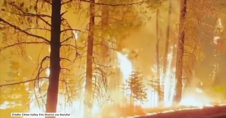 Rozprzesztrzeniają się pożary lasów w Kalifornii. Ogień zajął już ponad 75 tys. hektarów.