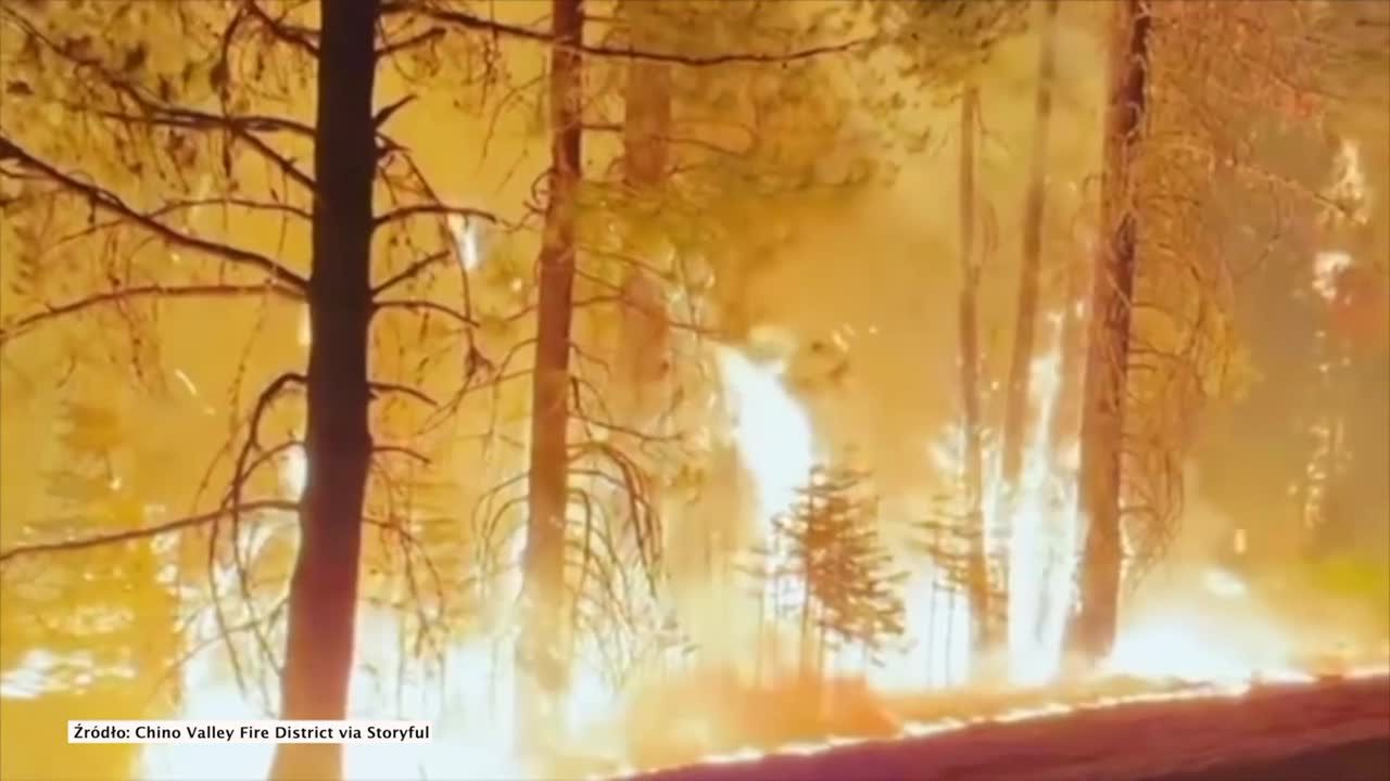 Rozprzesztrzeniają się pożary lasów w Kalifornii. Ogień zajął już ponad 75 tys. hektarów.