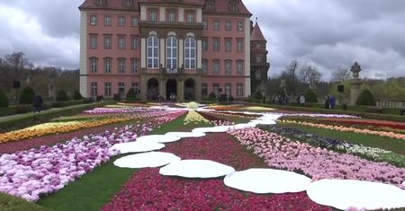 W zamku Książ w Wałbrzychu trwa 33. Festiwal Kwiatów i Sztuki. Dekoracje ze świeżych kwiatów stworzyło ponad 100 florystów