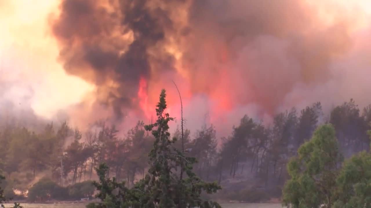 Pożary na tureckim wybrzeżu w pobliżu kurortów. Co najmniej trzy osoby zginęły