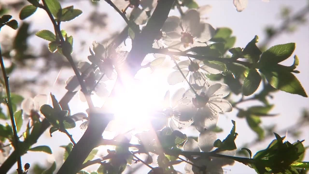 Witamina D ma u sportowców olbrzymie znaczenie. Sprawdź, dlaczego warto ją przyjmować.