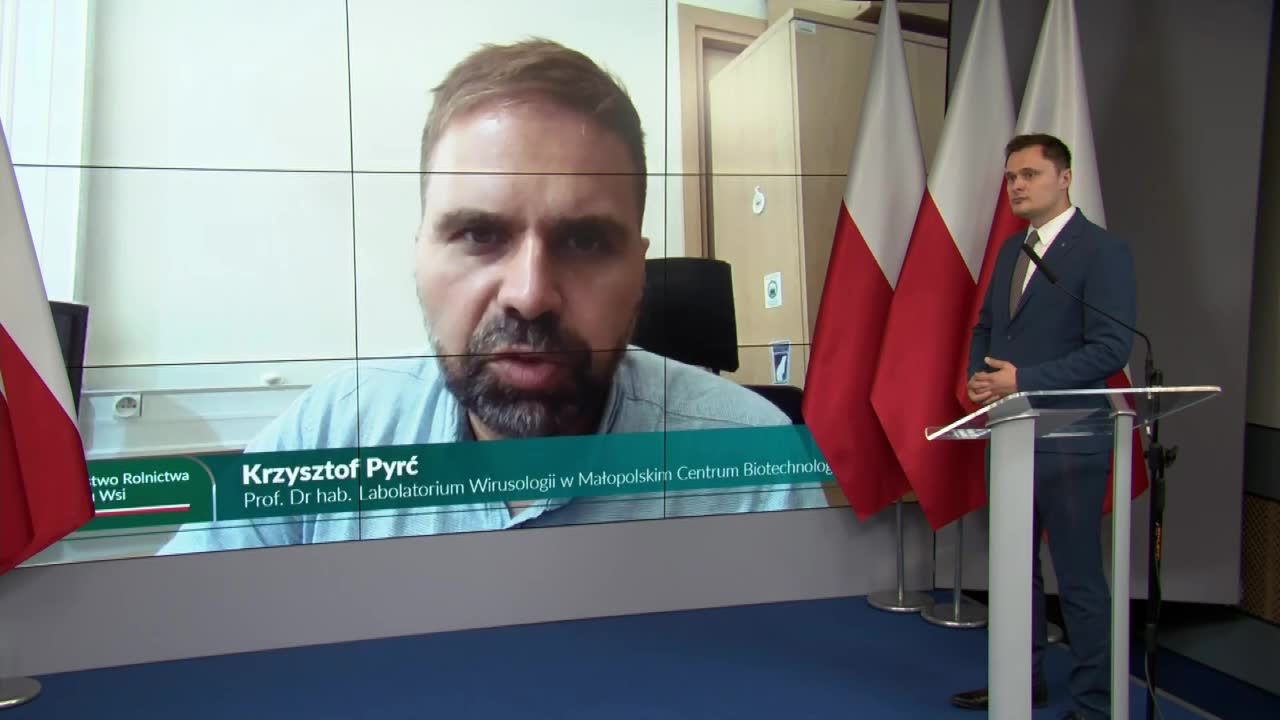 Ptasia grypa w mięsie drobiowym ze sklepów zabija koty? Ministerstwo: to manipulacja