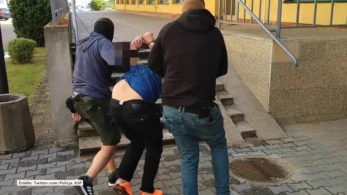 zdjęcie