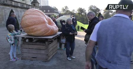 Wybrano najcięższą dynię w Europie. Ogrodnik z Toskanii wyhodował olbrzyma o wadze 1226 kg.