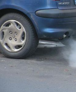 Ekolodzy nękają koncerny motoryzacyjne