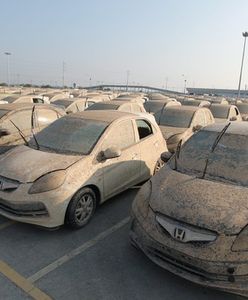 Honda niszczy swoje samochody