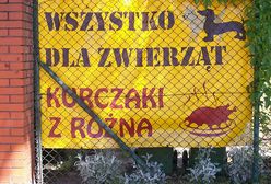 Mur w poprzek chodnika - śmieszne zdjęcia Internautów