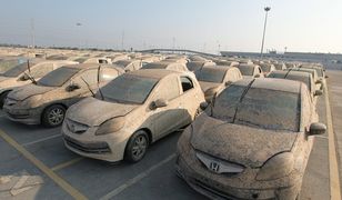 Honda niszczy swoje samochody