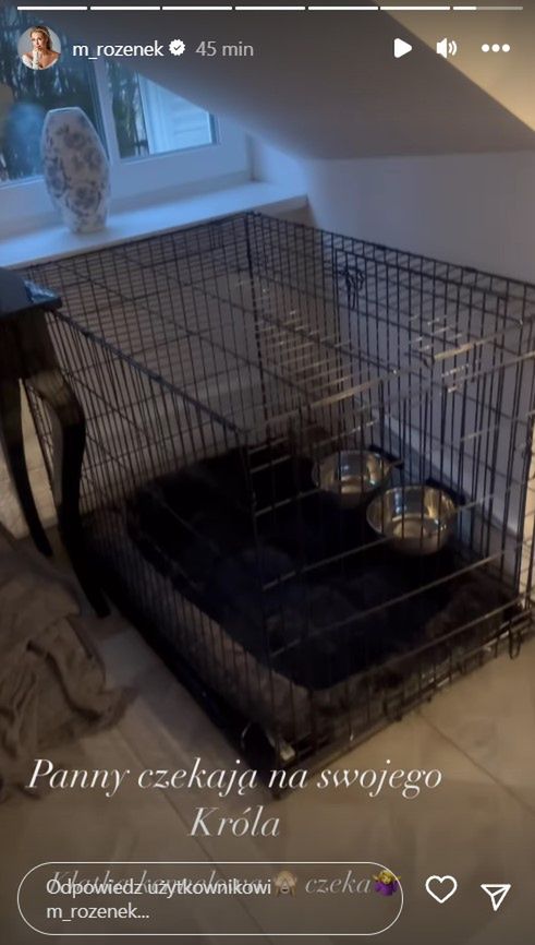 Małgorzata Rozenek postawiła klatkę w salonie
