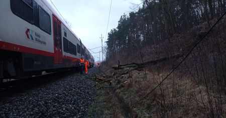 Drzewo spadło na trakcję kolejową – AKTUALIZACJA
