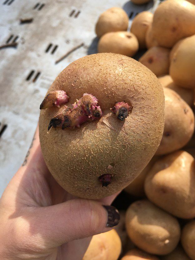 enhanced-863-1460386010-3