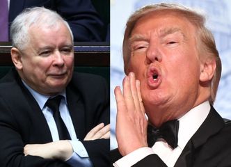 Kaczyński nie spotka się z Trumpem w Warszawie! "Prezes nie zabiegał i NIE BĘDZIE zabiegać o spotkanie"