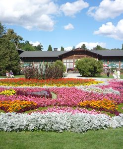 Koronawirus. Wyjazdy do sanatoriów są wstrzymane