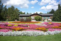 Koronawirus. Wyjazdy do sanatoriów są wstrzymane