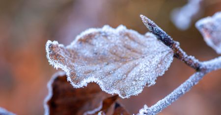 Ostrzeżenie meteo – przymrozki