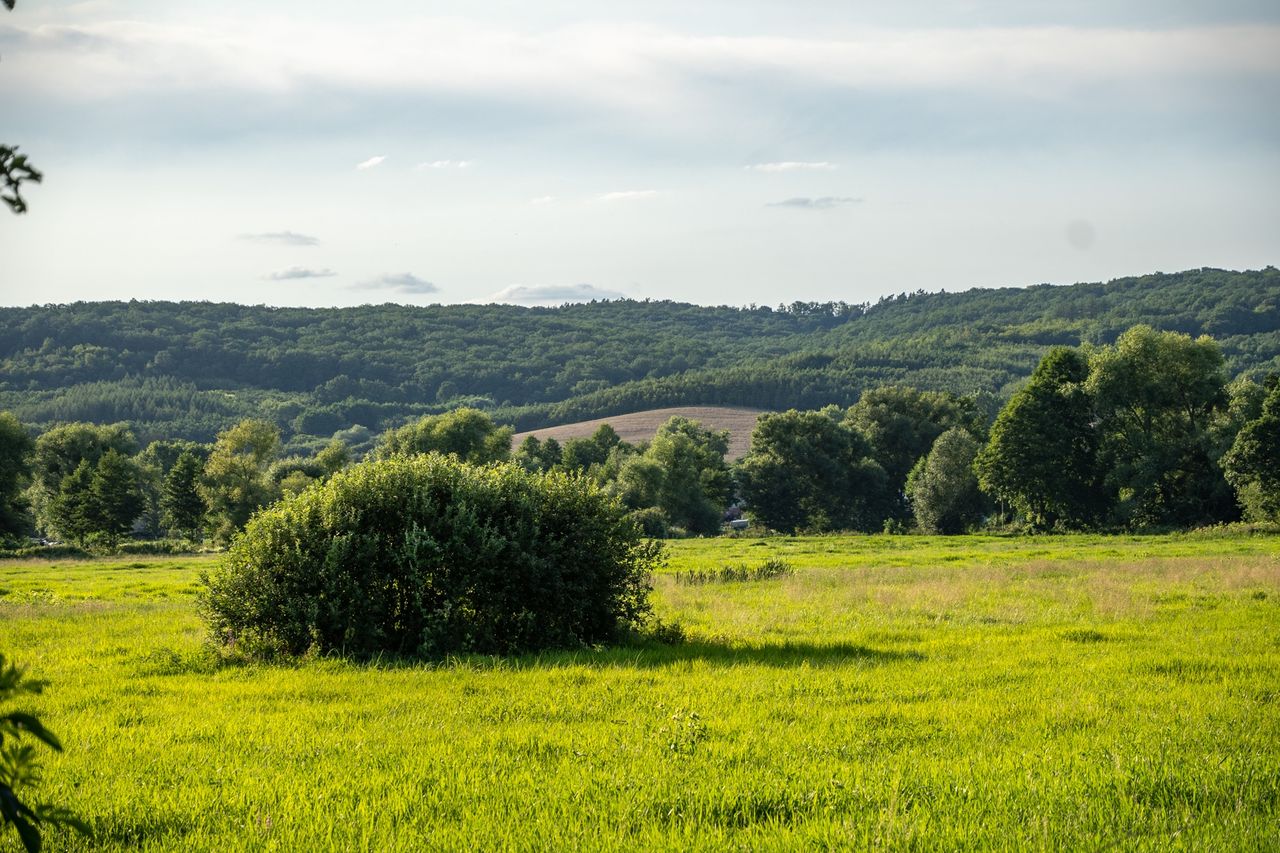 Współczesny krajobraz Żuławki Małej
