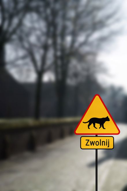 Takie znaki mogą wkrótce stanąć w całej Polsce