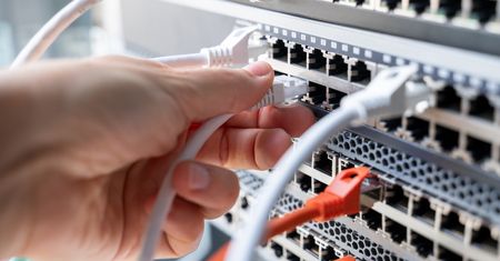 Krzyżówka o telewizji i internecie. Tylko znawca odkryje wszystkie hasła