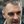 Srdjan Subotić