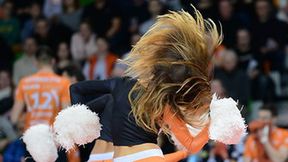 Cheerleaders Wild Cats Wrocław na meczu PlusLigi w Lubinie (galeria)