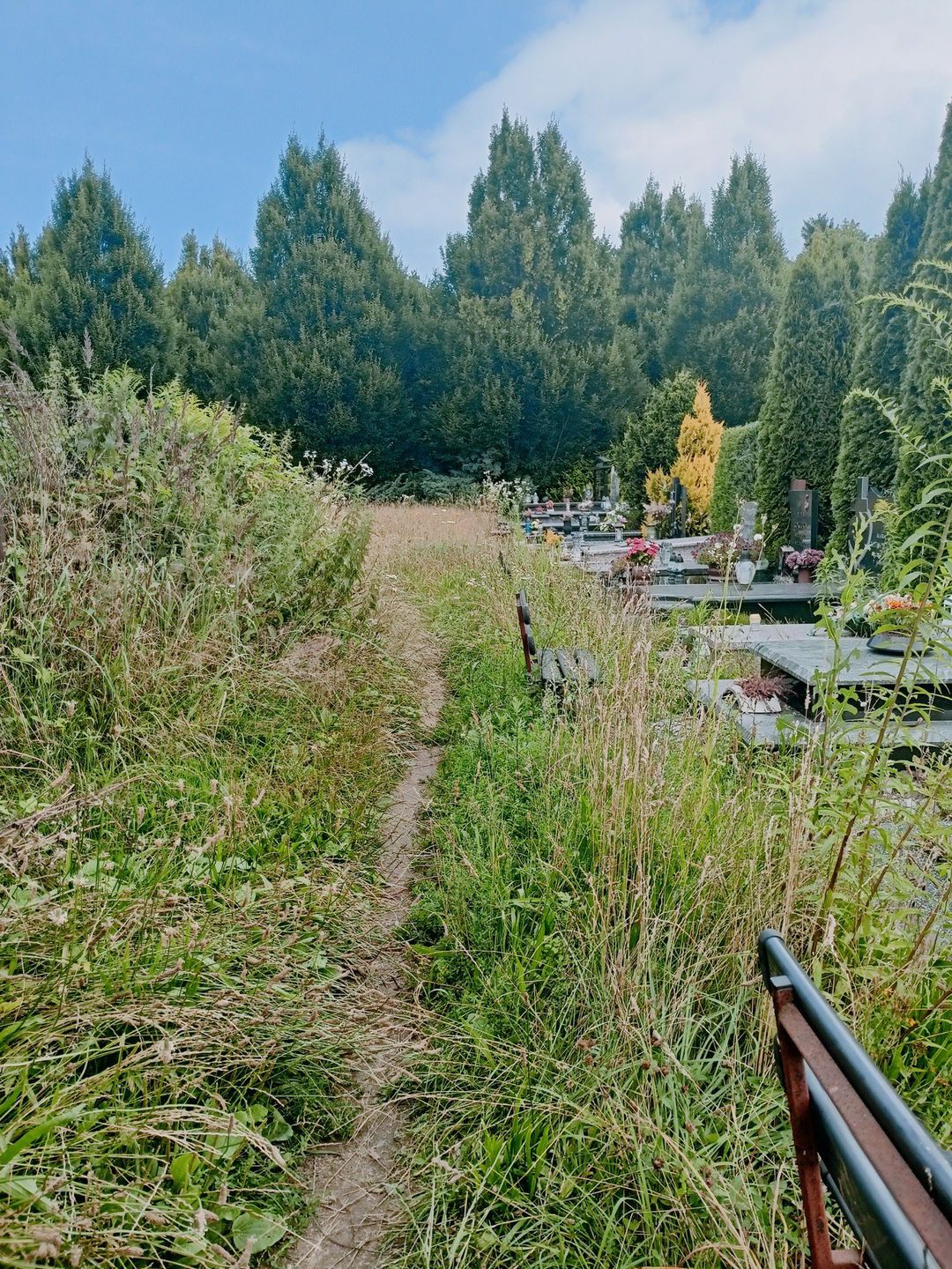 Cmentarz w Koszalinie