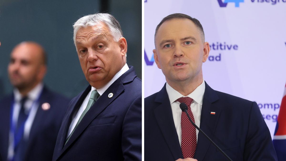 Viktor Orban, Karol Nawrocki