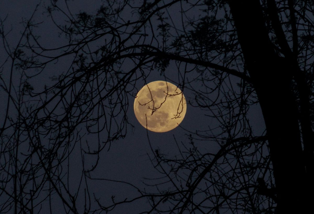 Pełnia w październiku i zaćmienie Księżyca. Zbliża się niezwykłe zjawisko