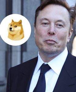 "Pieseł" zamiast ptaka. Kontrowersyjna decyzja Muska