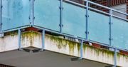 Mieszam z wodą i spryskuję balkon. Mech znika szybciej, niż się pojawił