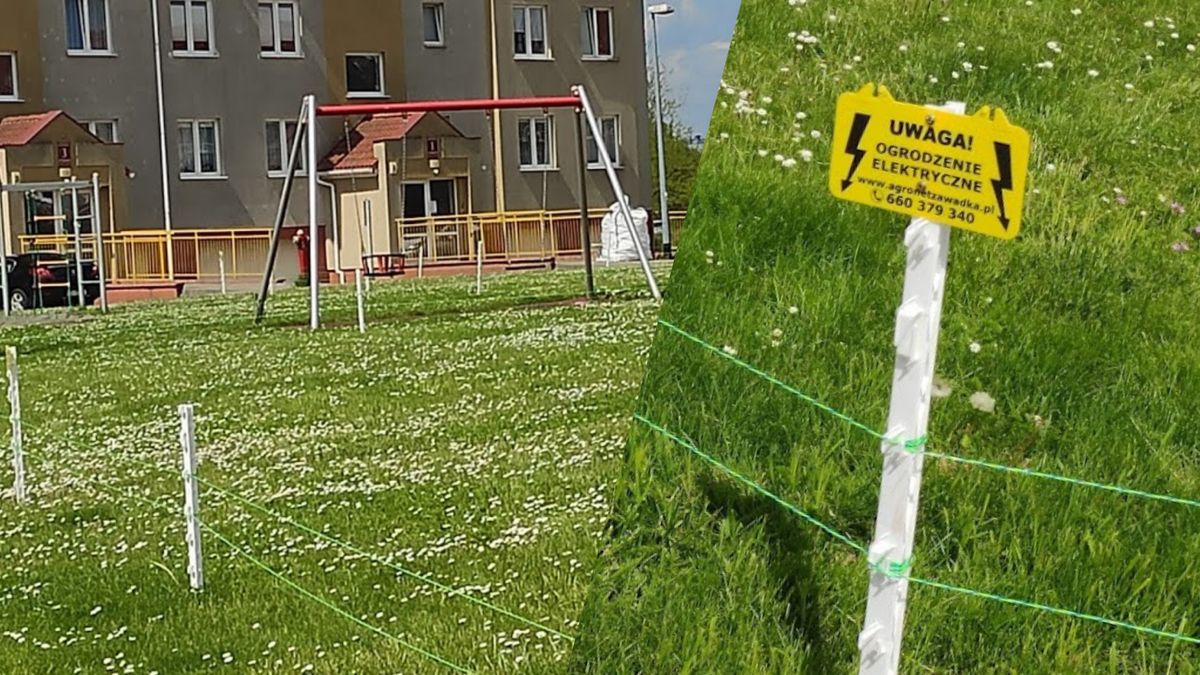 Pastuch elektryczny okala trawnik i plac zabaw na gdańskim osiedlu Łostowice