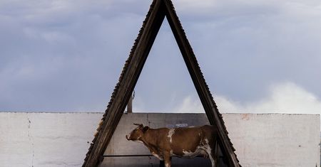 Nominowani do tytułu Najlepszego Fotografa Rosji w konkursie „Best of Russia 2016”