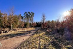 Pogoda. Wrocław. 26 kwietnia - ocieplenie za rogiem. Do końca tygodnia zrobi się ładniej