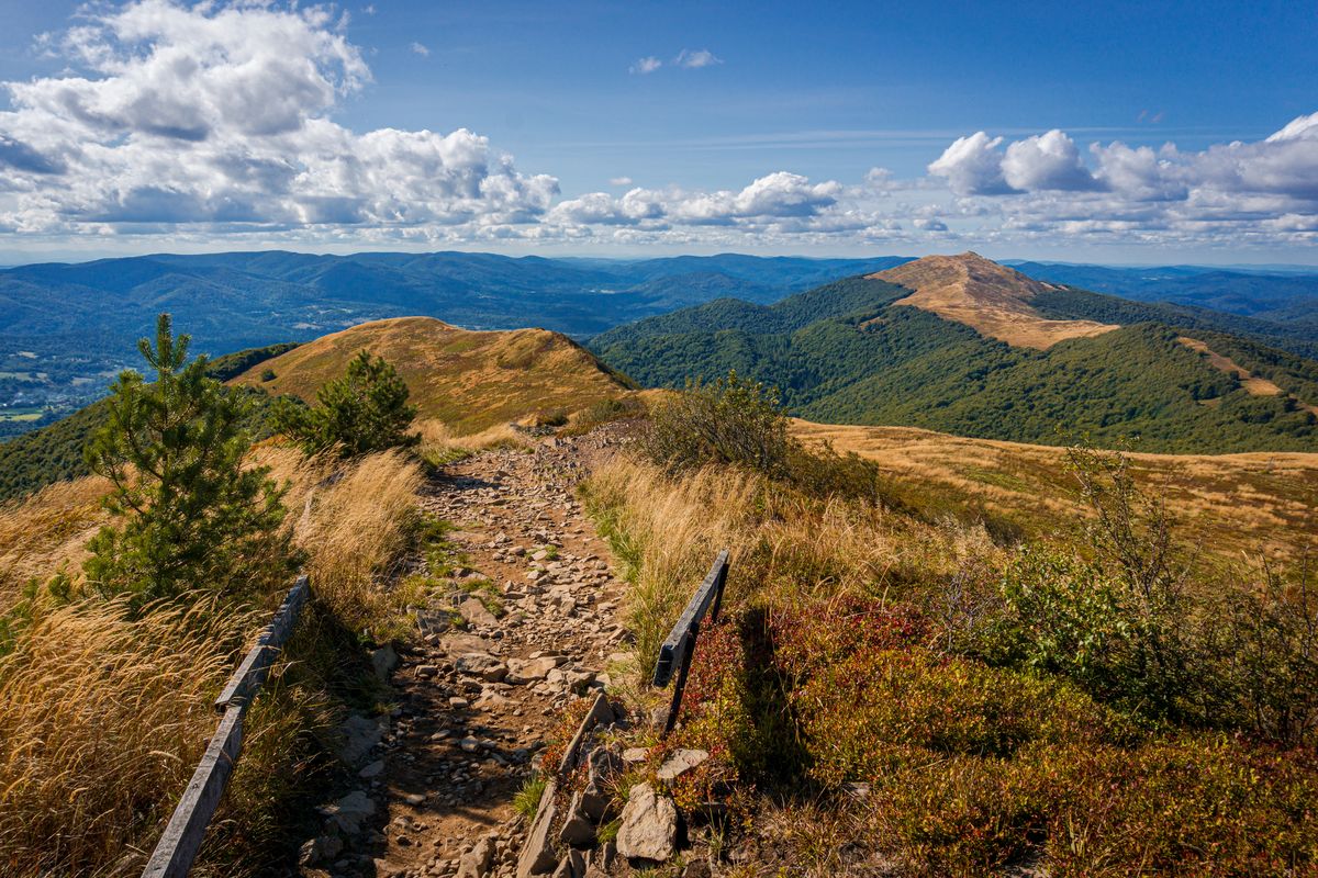 Z wieży widokowej rozpościerają się wspaniałe widoki na Bieszczady (zdjęcie ilustracyjne)