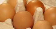 Jajka - klasyfikacja, wartości odżywcze, właściwości, jajko w koszulce