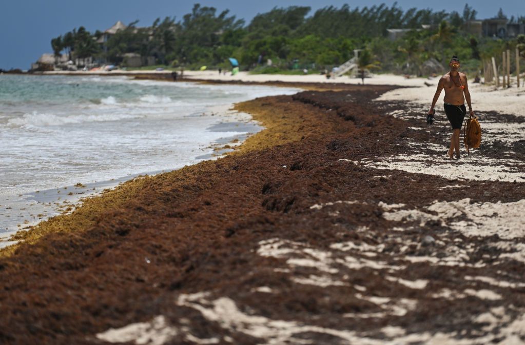 Plaża Punta Esmeralda w Playa del Carmen w marcu 2022 roku