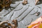 Wszystkich Świętych i Dzień Zaduszny to dwa różne święta