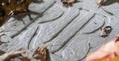 Wszystkich Świętych i Dzień Zaduszny to dwa różne święta