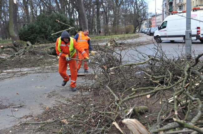 usuwanie skutków wichury w Szczecinie