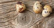 Surowe jajko przepiórcze