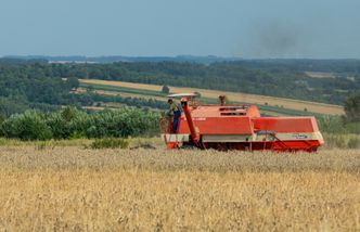 Słowacja znalazła szkodliwe pestycydy w zbożu z Ukrainy. Zamyka swój rynek