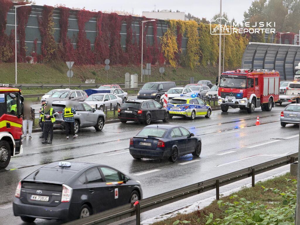Grupa policjantów rozmawia z kierowcami na zablokowanej drodze, obok widać wóz strażacki i radiowóz.