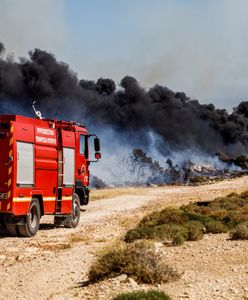 Piekło na Cyprze. Ogień niszczy domy i pustoszy winnice