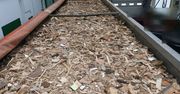 Nielegalny transport odpadów z Litwy  udaremniony.