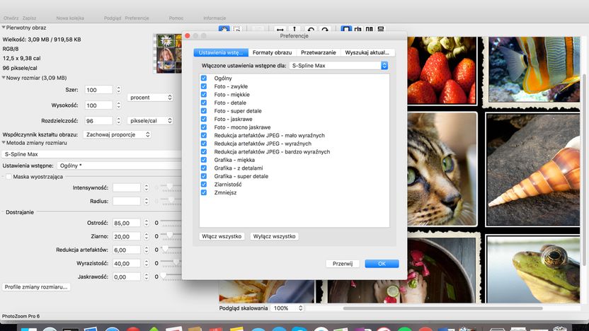 PhotoZoom Pro 5
