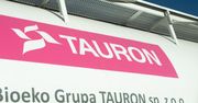 Z Enei do Tauronu. Państwowy gigant ma nowego prezesa