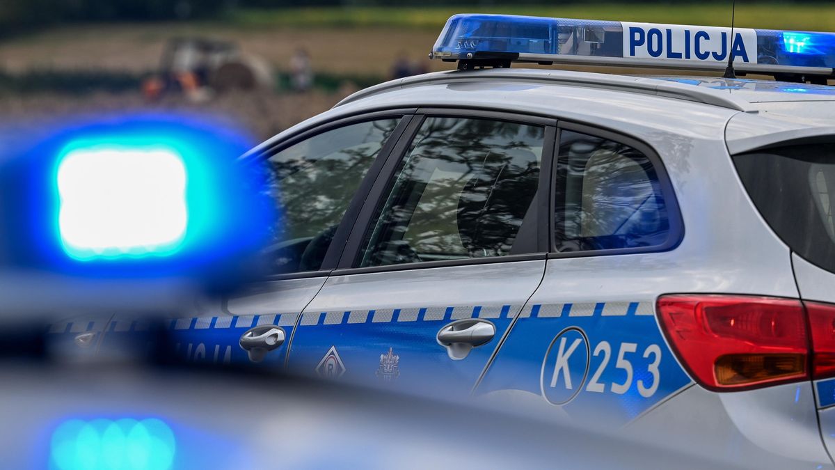 / zdjęcie ilustracyjne