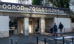 Jest akt oskarżenia przeciwko byłej dyrektorce ZOO. Wyrządziła szkody na ponad 100 tys. zł