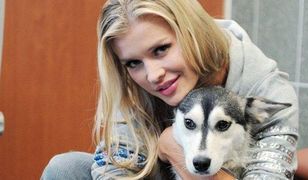 "Top model": Krupa została ekspertem w USA